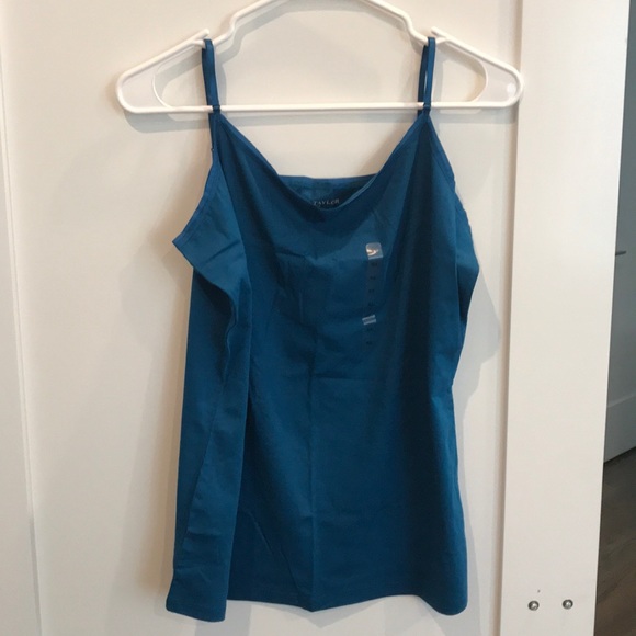 Ann Taylor teal camisole with adjustable straps - Picture 1 of 4